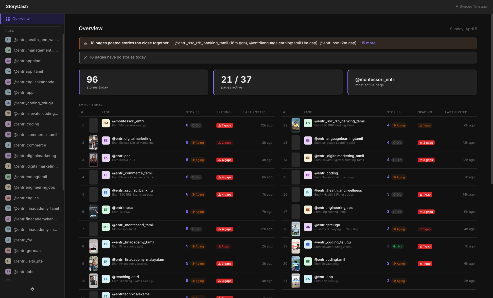 StoryDash overview, all pages, story counts, and status at a glance